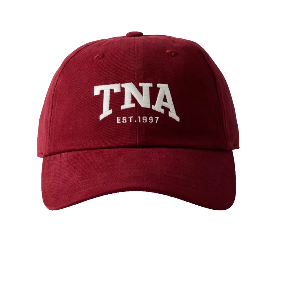 Aritzia TNA hat new without tags!